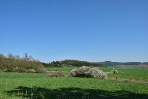 Apartamento Ferienhaus Giebelei