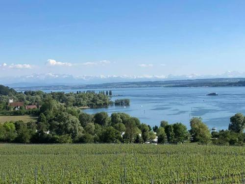 Apartamento Ferienwohnung "maisonette Unter Der Burg"
