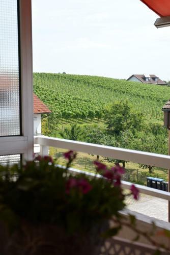Apartamento Ferienwohnung Seaview