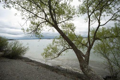 Apartamento Ferienwohnungen Stella Regia Stella Regia 2