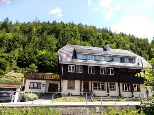 Mountain Apartment In St Blasien With Balcony