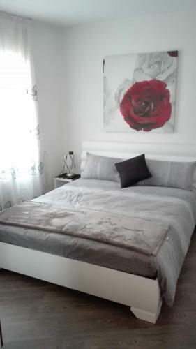 Apartamento Casa Novella