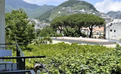 A Casa Di Pissi - Apartment