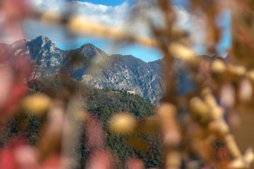 Apartamento La Luna Di Cristina