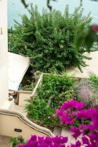 Apartamento Villa San Cosma