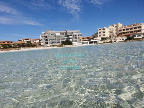 Apartamento Appartamento Delfini Sul Mare
