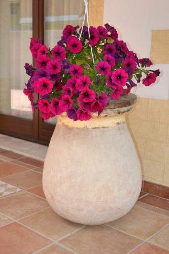 Bed & Breakfast I Giganti