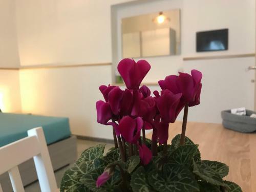 Hostal 40� Parallelo Guest House