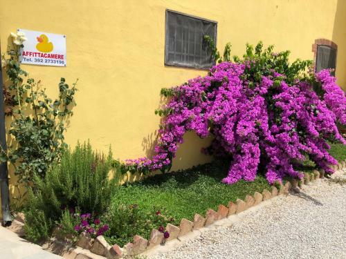 Hostal La Nana Gialla