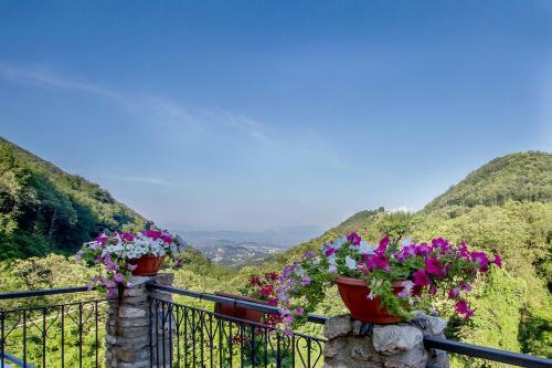 Bed & Breakfast Borgo Di Codeglia - Country Rooms