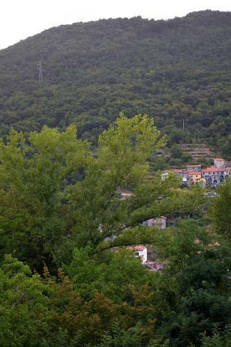 Cast� Style Le Cinque Terre Arte E Natura