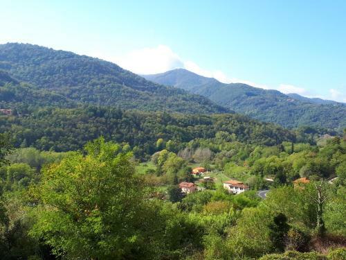 Villa Il Debbio