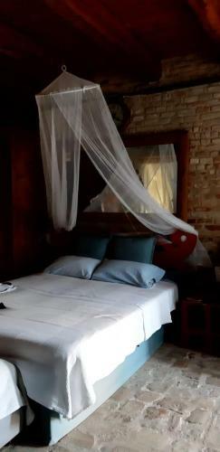 "la Casa Degli Ulivi Art B&b"