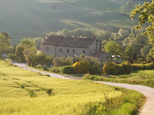 "la Casa Degli Ulivi Art B&b"