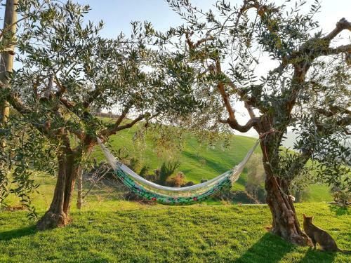 Bed & Breakfast La Mia Casa Nelle Marche
