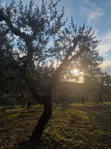 Bed & Breakfast Casale Dei Priori
