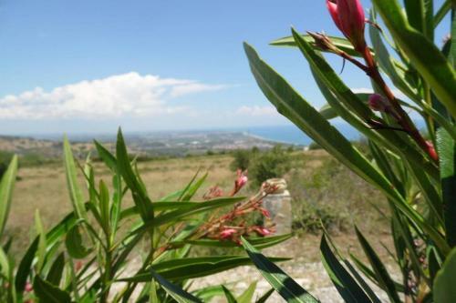 Apartamento UNA Finestra Sul Mare