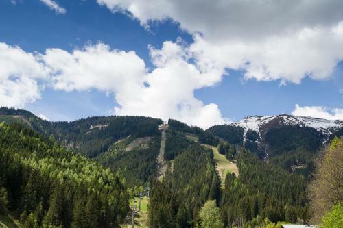 Apartamento Steinbock Superior Appartement