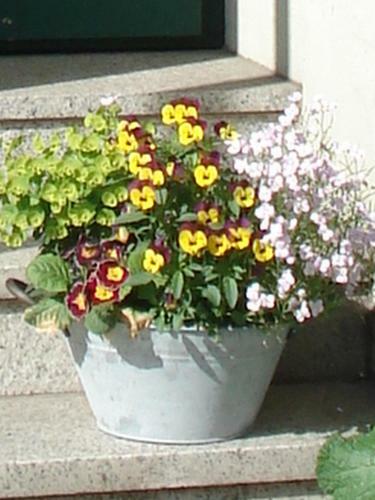 Hostal Pension Zur F�hrbr�cke