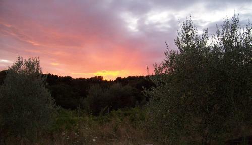 Arnaio Al Giglio