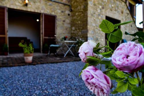 Apartamento Casa Campione