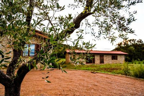 Apartamento Casa Campione