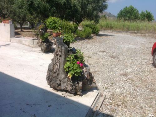 Hostal Il Podere