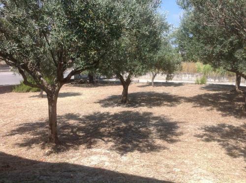 Hostal Il Podere
