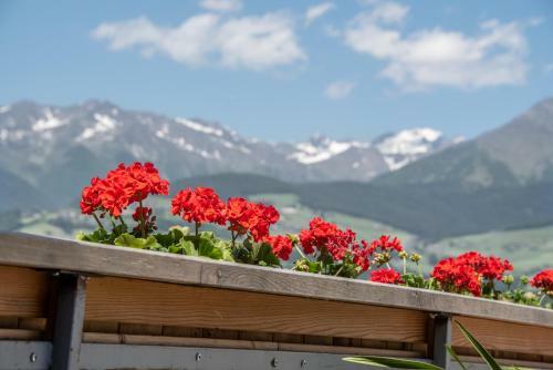 Apartamento Forchnerhof-app Rienzschlucht