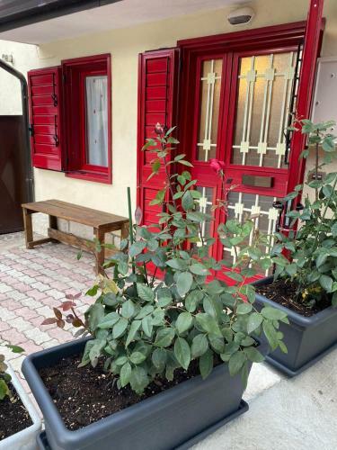 Apartamento Il Covo House