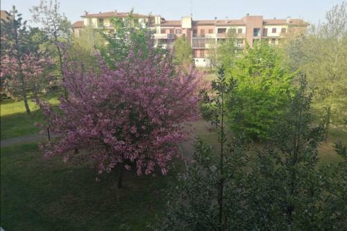 Apartamento A Casa Di Donnar�