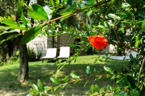 Apartamento Lake House La Gemma