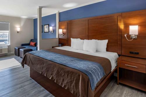 Hotel Comfort Suites St Louis - Sunset Hills