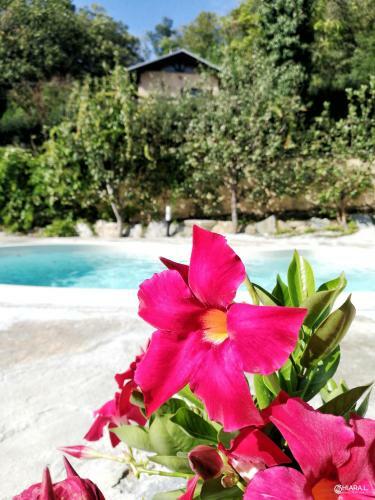 Hostal Naturas - La Casetta Nel Bosco