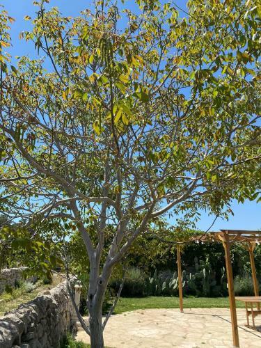 Apartamento Casale Zacco Micci�