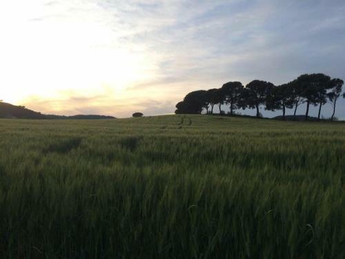 Bed And Breakfast La Bouganville