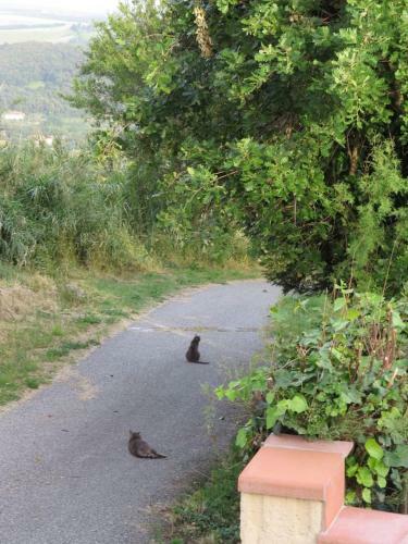 L'orizzonte Di Nocchi Manrico