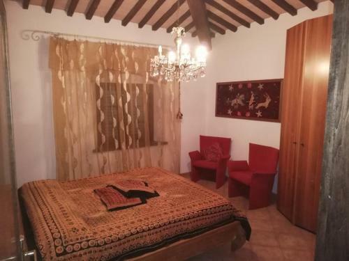 Apartamento Confortevole Locale