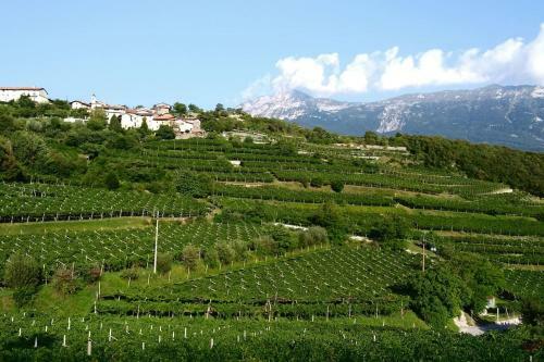 Apartamento Appartamento Per Vacanze "il Gelso"