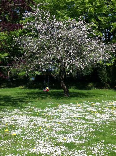 Tollundgaard Golf Park & Apartments