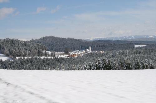 Hotel Gasthof Zum Kramer