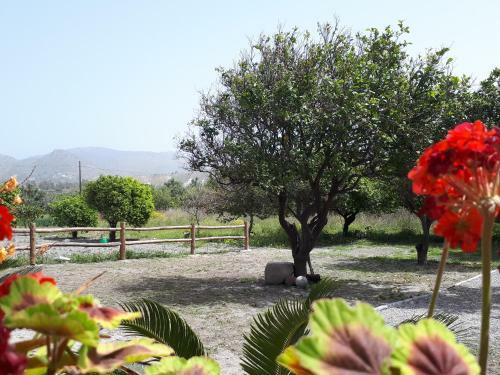 Bed & Breakfast Bio&b Saline Joniche