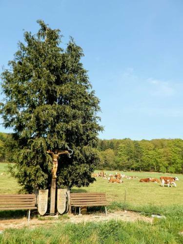 Apartamento Ferienwohnung Schinderhannes