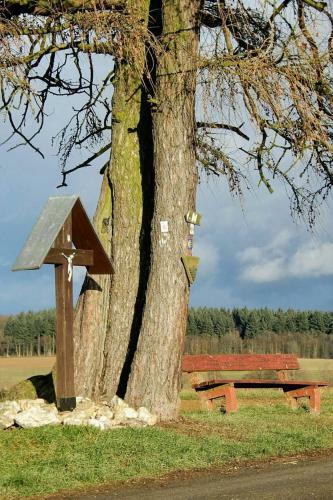 Apartamento Ferienwohnung Schinderhannes