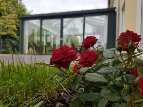 Hotel G�stehaus Staudenschloss