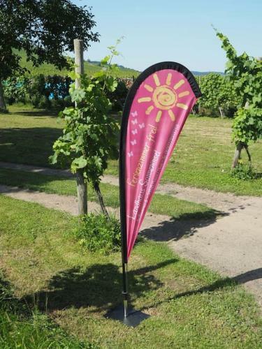 Apartamento Landhaus Sonneninsel - Appartment