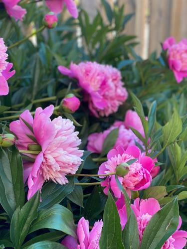 Apartamento Bauernhaus Loth - Exklusive Ferienwohnungen