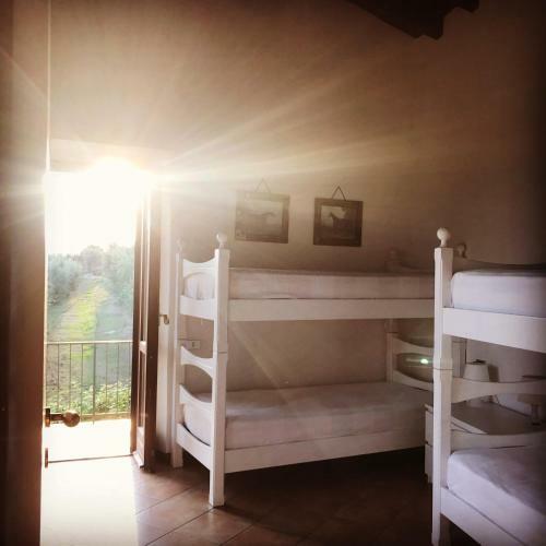 Agroturismo Agriturismo Valsiniga