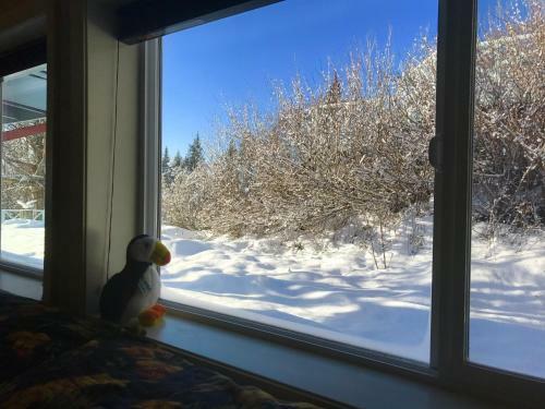 Halcyon Heights B&b/inn