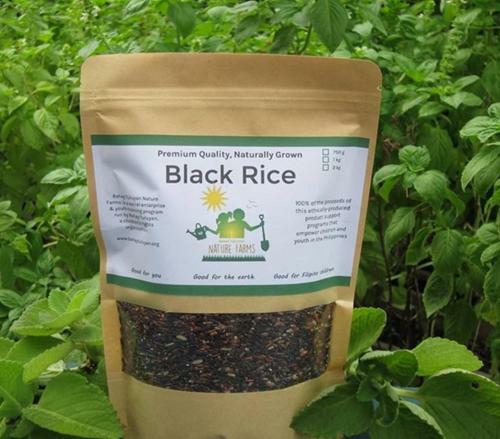 Hostal Makabata Guesthouse